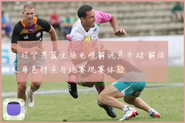 辽宁男篮主场电视解说员介绍 解读角色特点与比赛观赛体验