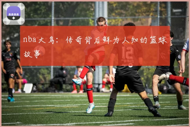 nba大鸟：传奇背后鲜为人知的篮球故事