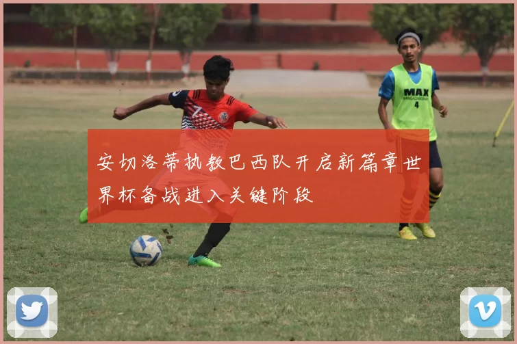 安切洛蒂执教巴西队开启新篇章世界杯备战进入关键阶段