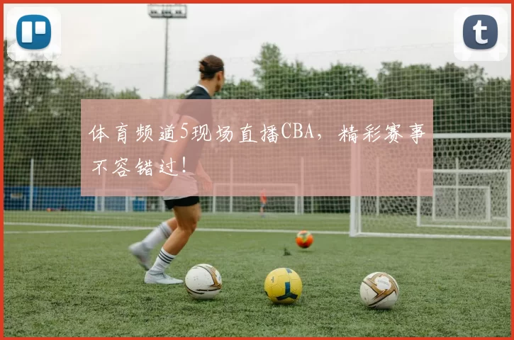 体育频道5现场直播CBA，精彩赛事不容错过！