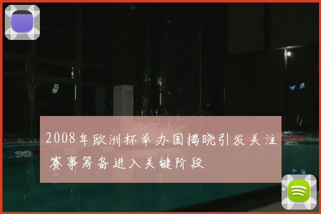2008年欧洲杯举办国揭晓引发关注 赛事筹备进入关键阶段