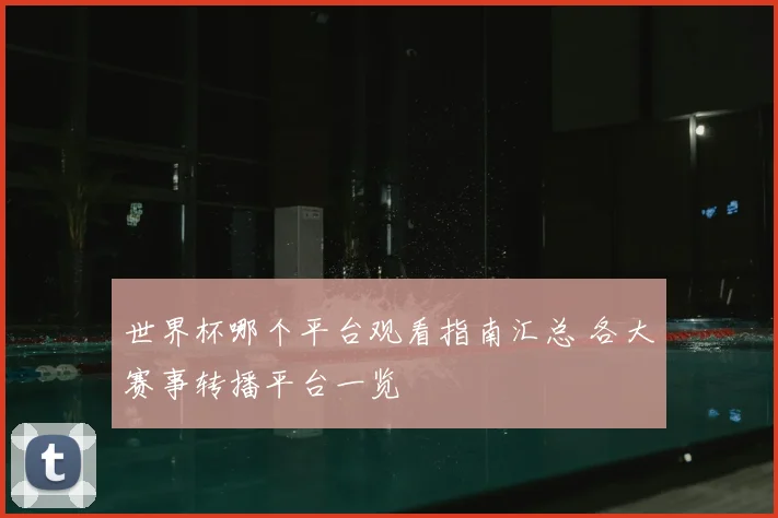 世界杯哪个平台观看指南汇总 各大赛事转播平台一览